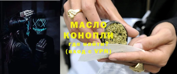 гидра Богородицк
