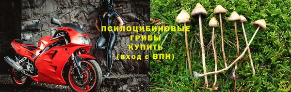 гидра Богородицк