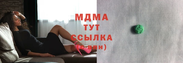 гидра Богородицк
