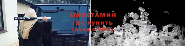 гидра Богородицк