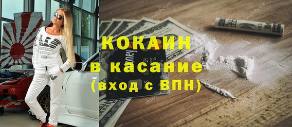 гидра Богородицк