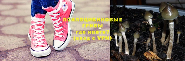 прущая мука Богданович