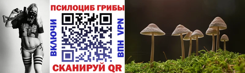Купить Лихославль Псилоцибиновые грибы ЛСД